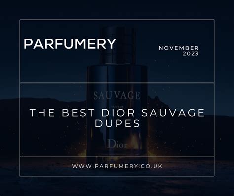 best dupe for dior sauvage|dior sauvage alternative reddit.